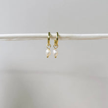 Charger l'image dans la galerie, Dolko