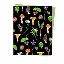 Carte Cueillette Sauvage