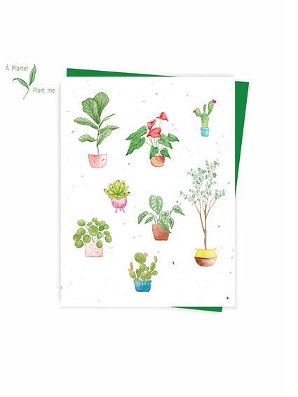 Carte Plantes ensemencées