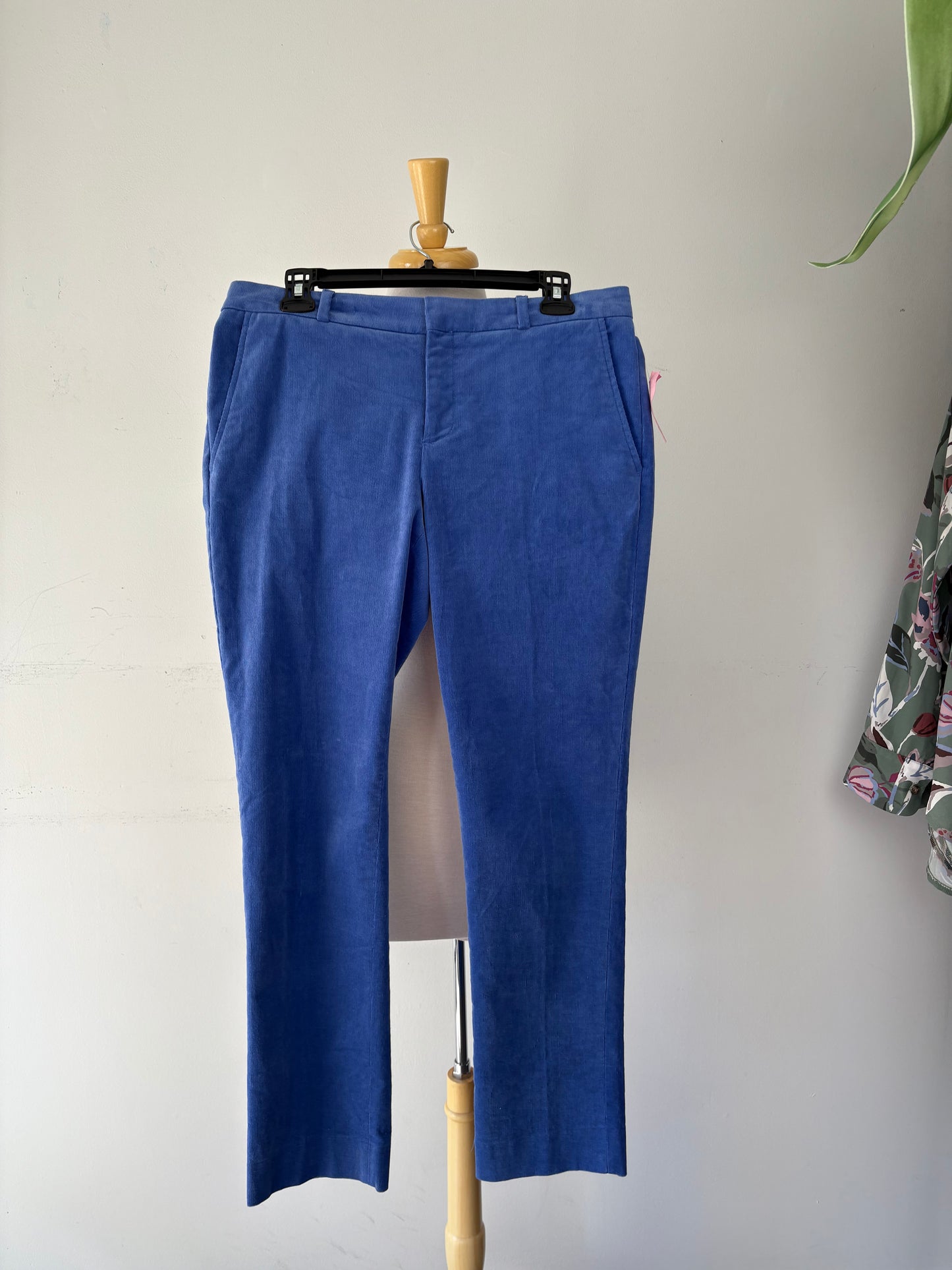Pantalon velours cordé bleu | MNDUH-46 (6 ans taille basse)