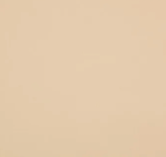 Collant 20 deniers, effet diaphane 5333  (Mondor)