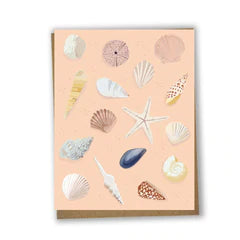 Carte Coquillages