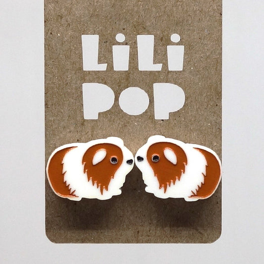 Lili0981 Cochon d'Inde