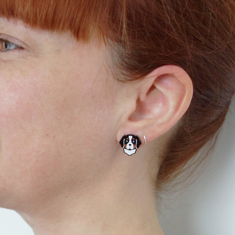 Lili0827 Bouvier Bernois