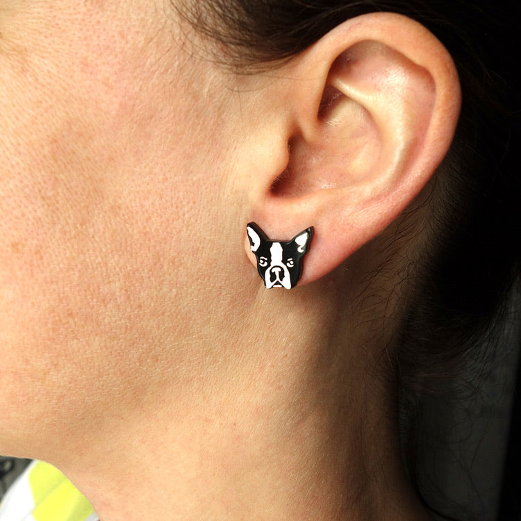 Lili0372 Boston Terrier