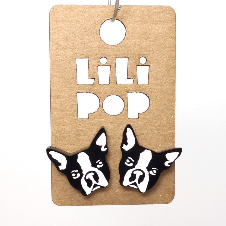 Lili0372 Boston Terrier